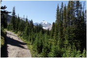 06 - Icefields Parkway (8)